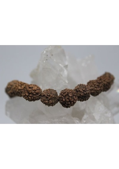 Rudraksha Tohum Bileklik 8Mm (531249597)