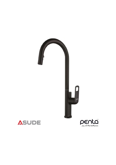 Penta 1321b Black Spiralli Evye Bataryası Siyah