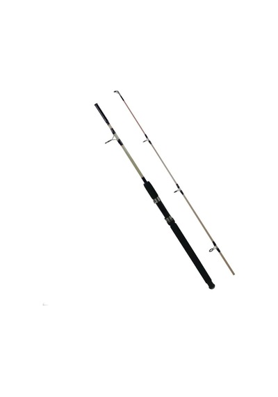 Ranger Bot/tekne Kamışı 180 Cm