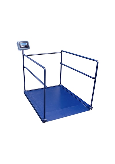 Cw 300 KG x 100 Gr 90 x 120 Diyaliz Baskülü Tek Rampa