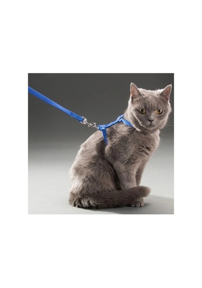 120cm Mavi Kullanıma Uygun Kedi Tasması Diğer