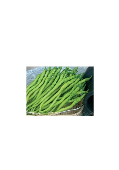 Biber Kıl Sivri Tatlı Tohumu 10 Gr