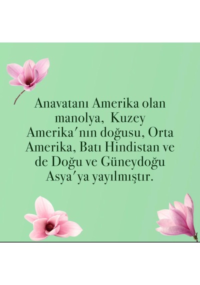 Eyüp Sabri Tuncer Manolya Çiçeği El ve Vücut Peeling 400 ML + El ve Vücut Kremi 50 ML + Kolonya Pet Şişe 400 ML + Sprey Kolonya 150 ML