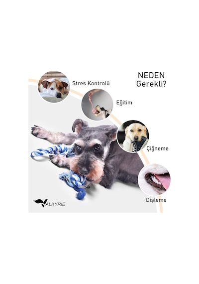 4 Lü Köpek Diş İpi Oyuncağı Seti Isırma Çekiştirme Eğitim Toplu Halat Oyuncak