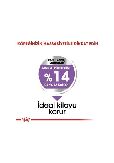 Ccn Mini Sterilised 3 Kg Köpek Maması