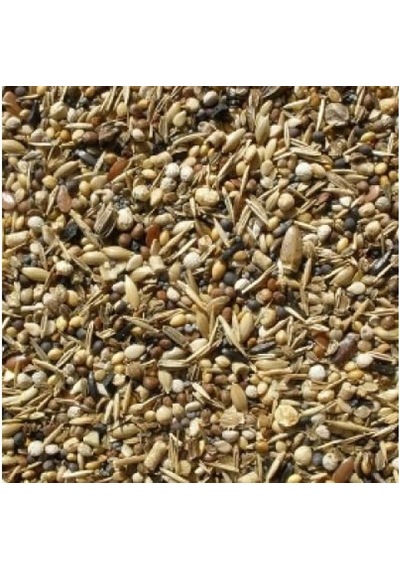 Sağlık Tohumu Kuş Yemi Yabani Sağlık Yohumu 250 Gr