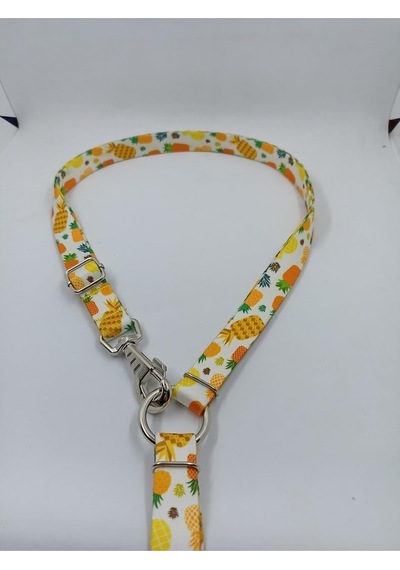 Tr Ananas Desenli Gezdirme Kayışı, Köpek Tasması, 120cm X 2cm, Sarı Genel
