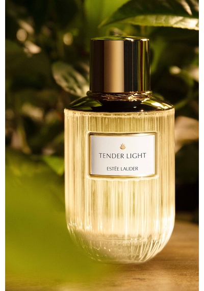 Estee Lauder Tender Light Kadın Parfüm EDP 100 ML Luxury Fragrance Koleksiyonu 887167557253