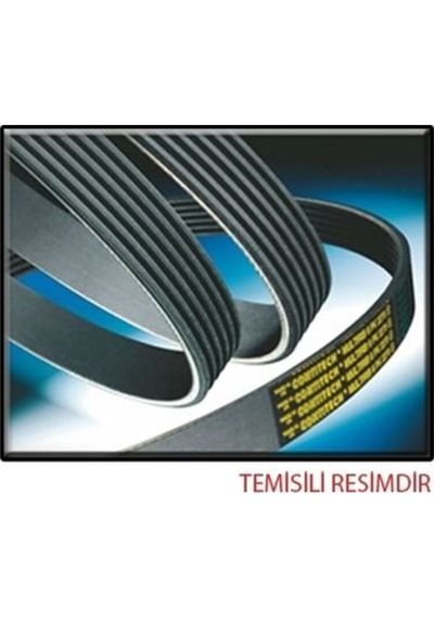 Kanallı Kayış 8200059395-mw8642479