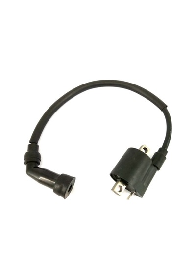 Mondial 125 Agk Kt 150 Kn Model Ateşleme Bobini (368100113)