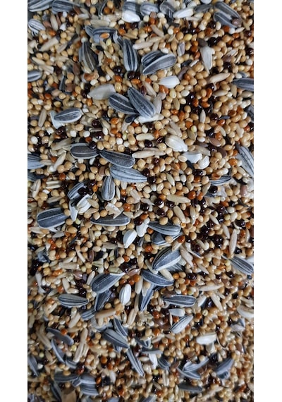 Cennet-Sultan Papaganı Paraket Yemi Özel Karışık 10 KG