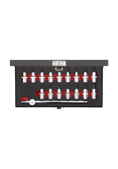 Ceta Form C28s-17pth 17 Parça 1/2” Torx Ve Allen Uçlu Lokma Takım