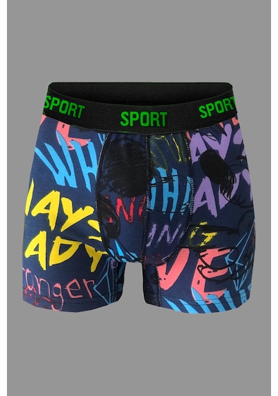 Vien&Karl Erkek Desenli 6'Lı Premium Penye Kutu Pamuklu Likralı Boxer Çok Renkli