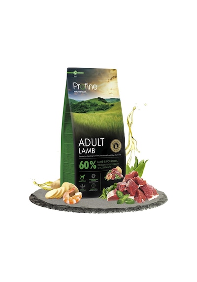 Profine Gluten Free Adult Lamb Glutensiz Kuzu Etli Yetişkin Köpek Maması 12 KG