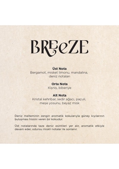 Breeze E2 Power Koku Kartuşu 125 Ml