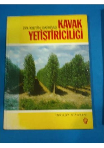 Kavak Yetiştiriciliği