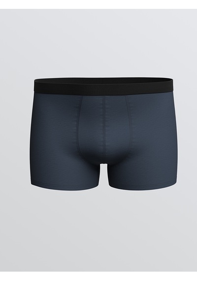 LC Waikiki Lc Waıkıkı İndigo Loose Fit Pamuklu Esnek Erkek Boxer 3'lü