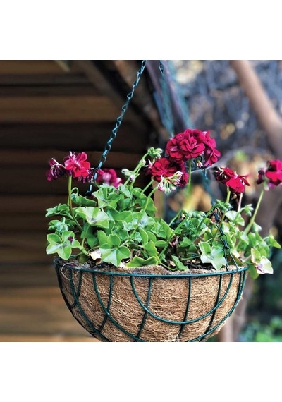 Gardener Koko Sepet Zincir Askılı 30cm Ø