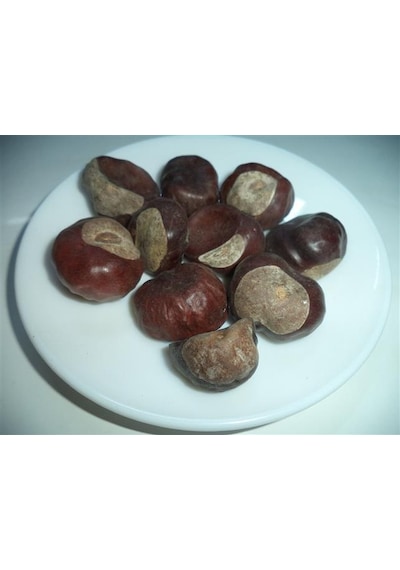 As Baharat At Kestanesi 1. Kalite 100gr
