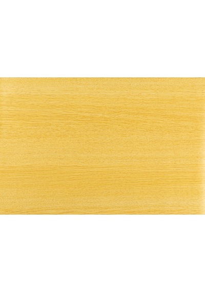 Bigpoint Yapışkanlı Folyo 2m Ağaç Desen No:19 X 12 Rulo