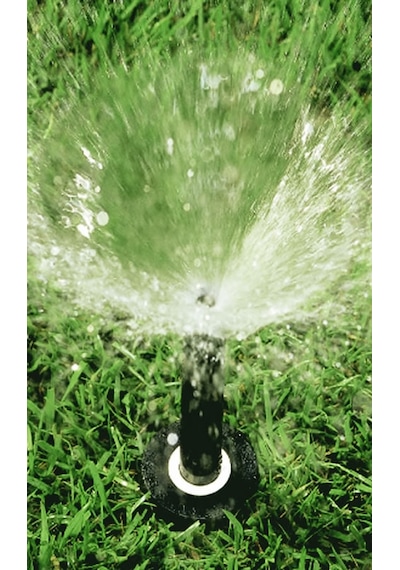 Rainbird 1802 Sprey Sprink Pop-up 5cm 2" Boş Gövde