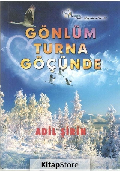 Gönlüm Turna Göçünde - Adil Şirin - Kültür Ajans Tanıtım ve Organizasyo