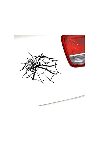 Örümcek Araba Sticker Yapıştırması 2