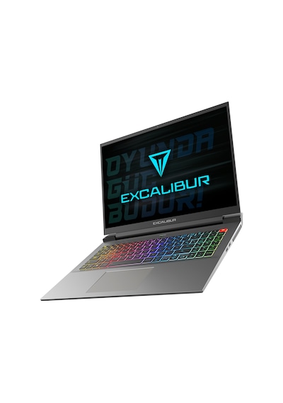 Casper Excalibur G911.1180-DF70R-C i7-11800H 32 GB 1 TB SSD 8 GB RTX3070 16" W11P Dizüstü Bilgisayar