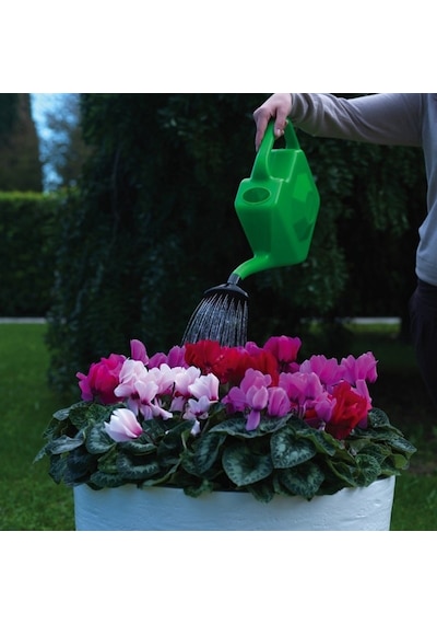 Dimartino Proline 5 Yağmurlama İbriği 5 Litre