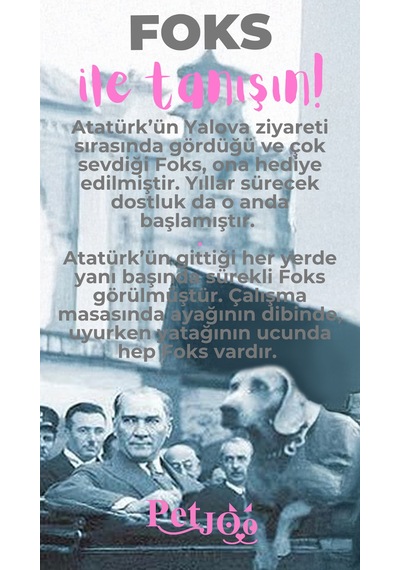 Petjoo 29.Foks Pembe-Gri Qr'lı Köpek Künyesi