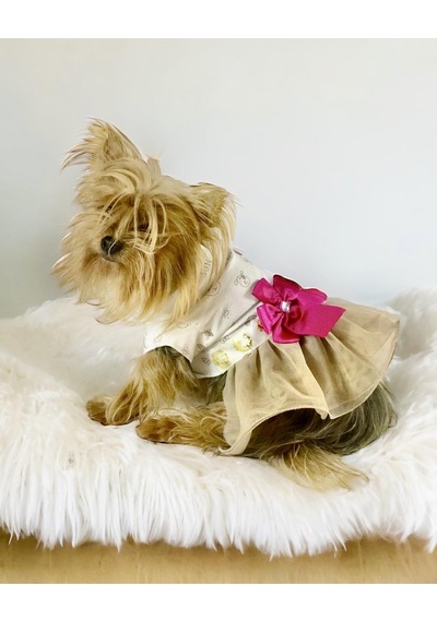 Kemique Creamy Fuchia Tütülü Köpek Elbisesi