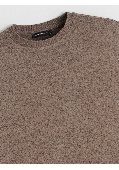 Lcw Everyday Bej Bisiklet Yaka Oversize Kadın Sweatshirt
