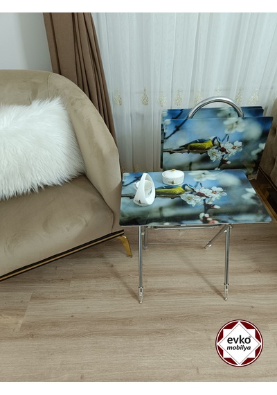 Evko Mobilya Çanta Zigon Sehpa, 4'lü Sehpa, Zigon Sehpa, Servis Sehpası, Camlı Sehpa, Katlanır Sehpa Yeni Kuş Mavi - Krem