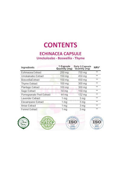 Gökçek Şifa 1000 MG Ekinezya (Echinacea Capsule) 60 Kapsül