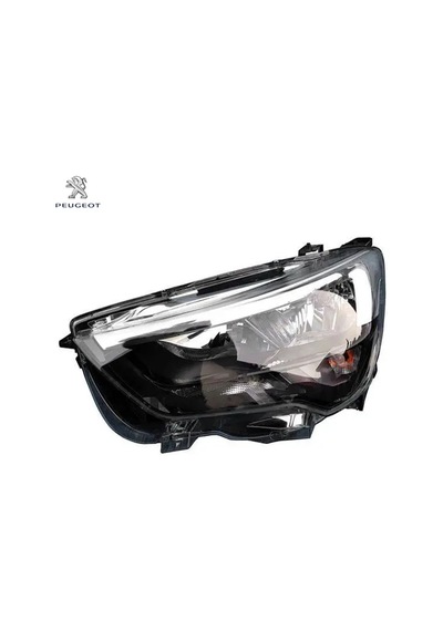 Cam Kızağı Peugeot 9818023580