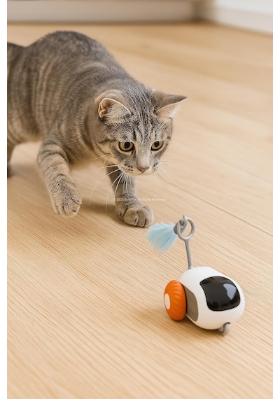 Busstier Uzaktan Kumandalı Kedi Oyuncağı 2 Modlu Hareketli Araba Sessiz Motorlu Kedi Eğlence Oyuncağı Tüy Aparatlı Kendiliğinden Yön Değiştirme Özelli Busstier Uzaktan Kumandalı Kedi Oyuncağı 2 Modlu Hareketli Araba Sessiz Motorlu Kedi Eğlence Oyuncağı Tüy Aparatlı Kendiliğinden Yön Değiştirme Özelli