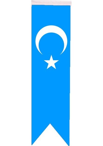 Masa Üstü Kırlangıç Doğu Türkistan Bayrağı - 8X30Cm Çift Taraflı
