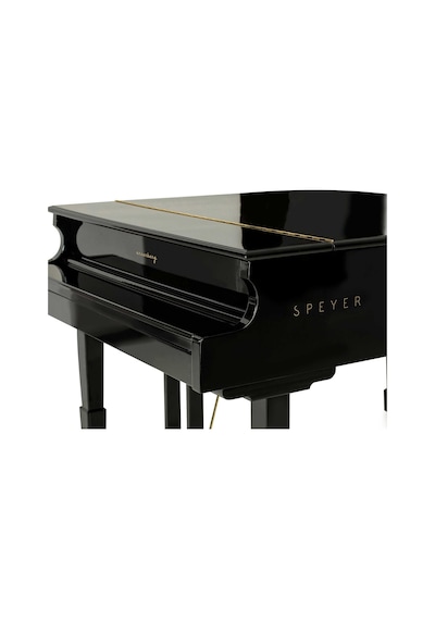 Arsenberg Speyer Agp150b Siyah Grand Piyano