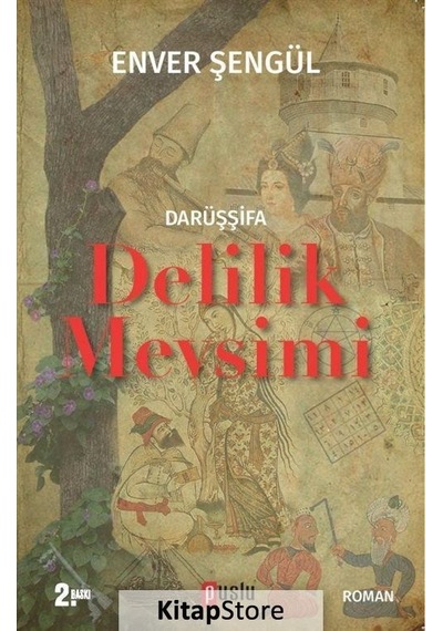 Darüşşifa - Delilik Mevsimi - Enver Şengül - Puslu Yayıncılık