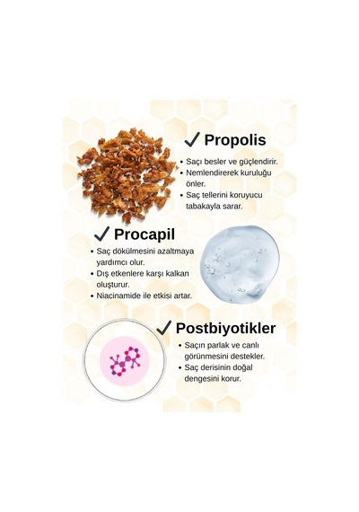 Kuru Ve Hassas Saçlar Için Besleyici Onarıcı Propolis, Procapil Tanışma Seti 50ml
