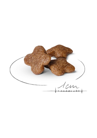 Royal Canin Mini Adult +8 Küçük Irk Yaşlı Köpek Maması 2 KG