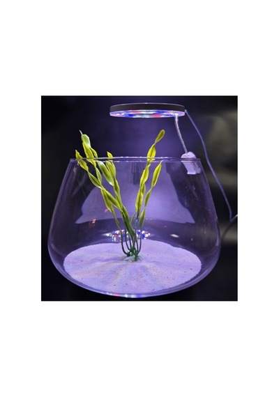 Led Yuvarlak Usb Fanus Aydınlatma