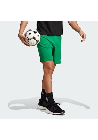 Adidas Teagrn Ent22 Sho Null Yeşil