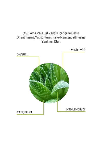 Cliniclab Aloe Vera %95 Yatıştırıcı ve Onarıcı Jel 150 ML