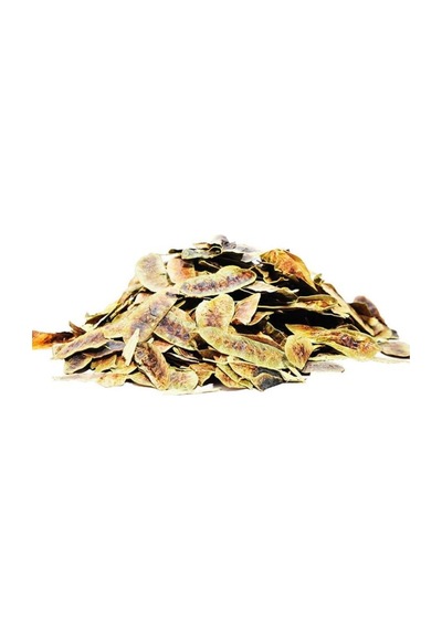 Doğal Açlık Otu Erkek Sinameki Saf Açlıkotu Bitkisi 100gr