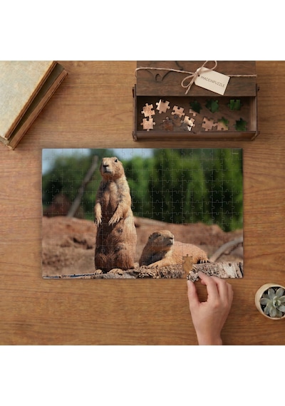 Sevimli Dağ Sıçanları Tasarımı 240 Parça Ahşap Puzzle Ahşap Kutuda Mpy50500