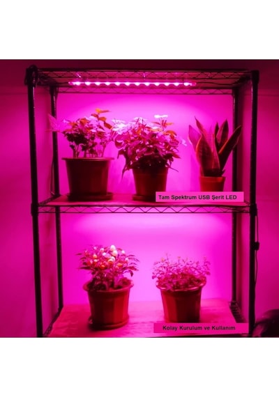 Plentiful Ev Bitkileri İçin Tam Spektrum Grow Led Şerit Usb 2m Pembe