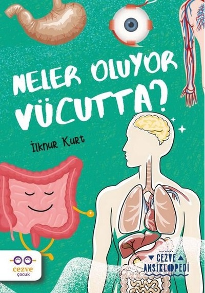Neler Oluyor Vücutta? Cezve Ansiklopedi - İlknur Kurt - Cezve Çocuk