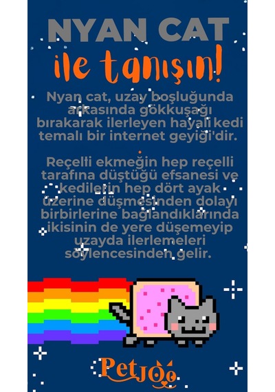 Petjoo 2.Nyan Cat Turuncu-Gri Qr'lı Kedi Künyesi