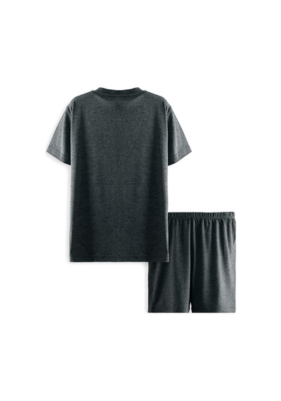 Denokids Dinozor Erkek Çocuk Gri Alt Üst Pijama Takım Renkli Çok Renkli